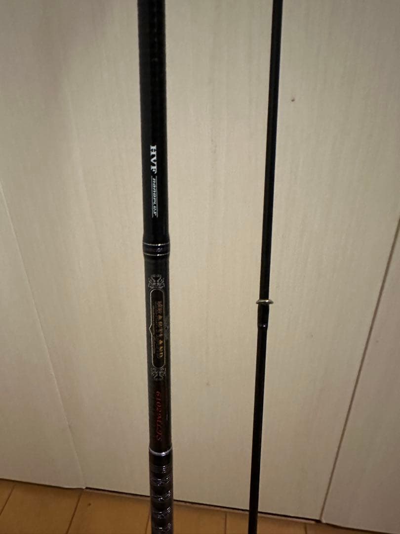 ダイワ　ハートランド　6102MLFS-19