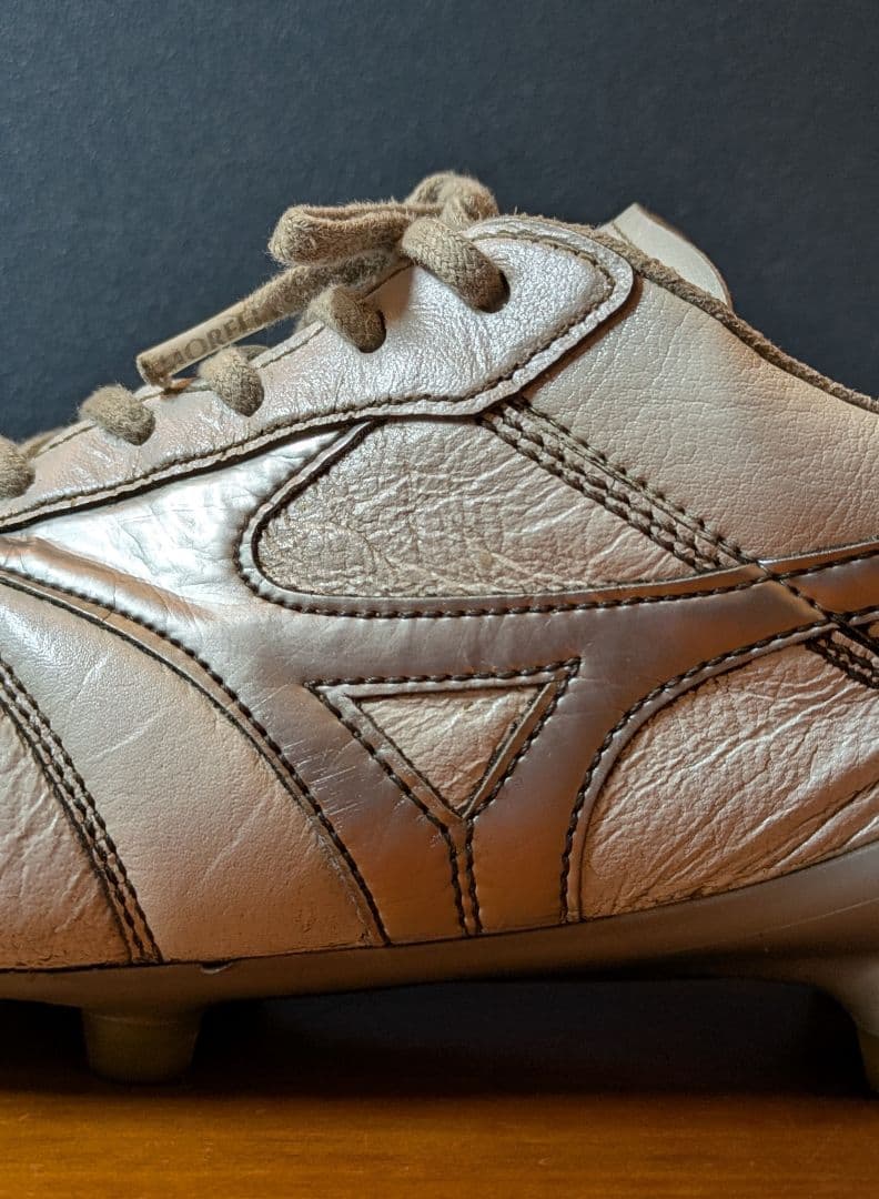 ミズノ　モレリアDNA 25.5cm