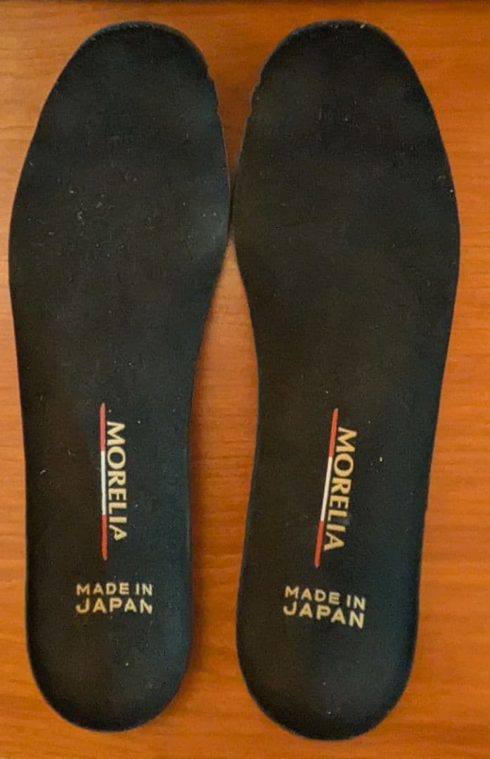 ミズノ　モレリアDNA 25.5cm