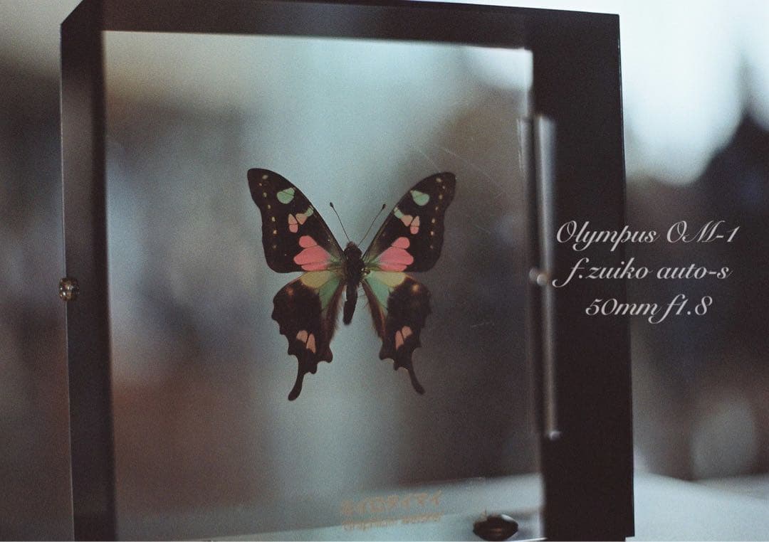 ★完動品＊美品＊初期保証★OM-1 &レンズf1.4★リザード・オリーブブラック