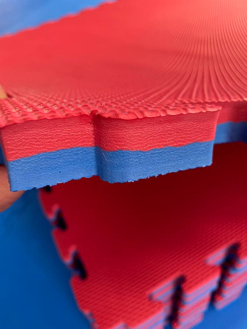 注文者専用ページ］ジョイントマット赤青10枚静岡県個人宅送料込み