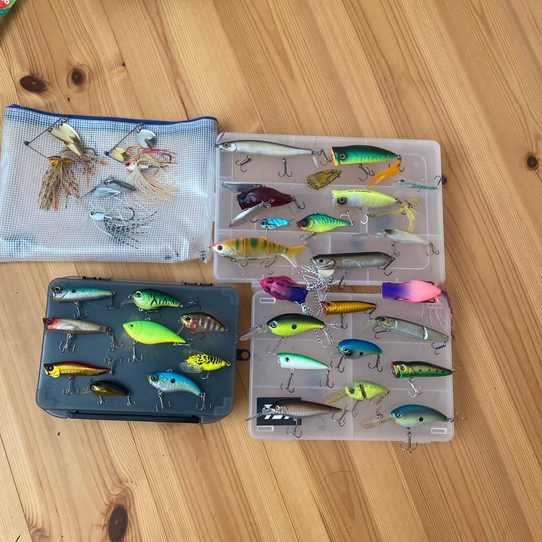 ZEAL ピンクのパンダ 限定生産 ハリなし