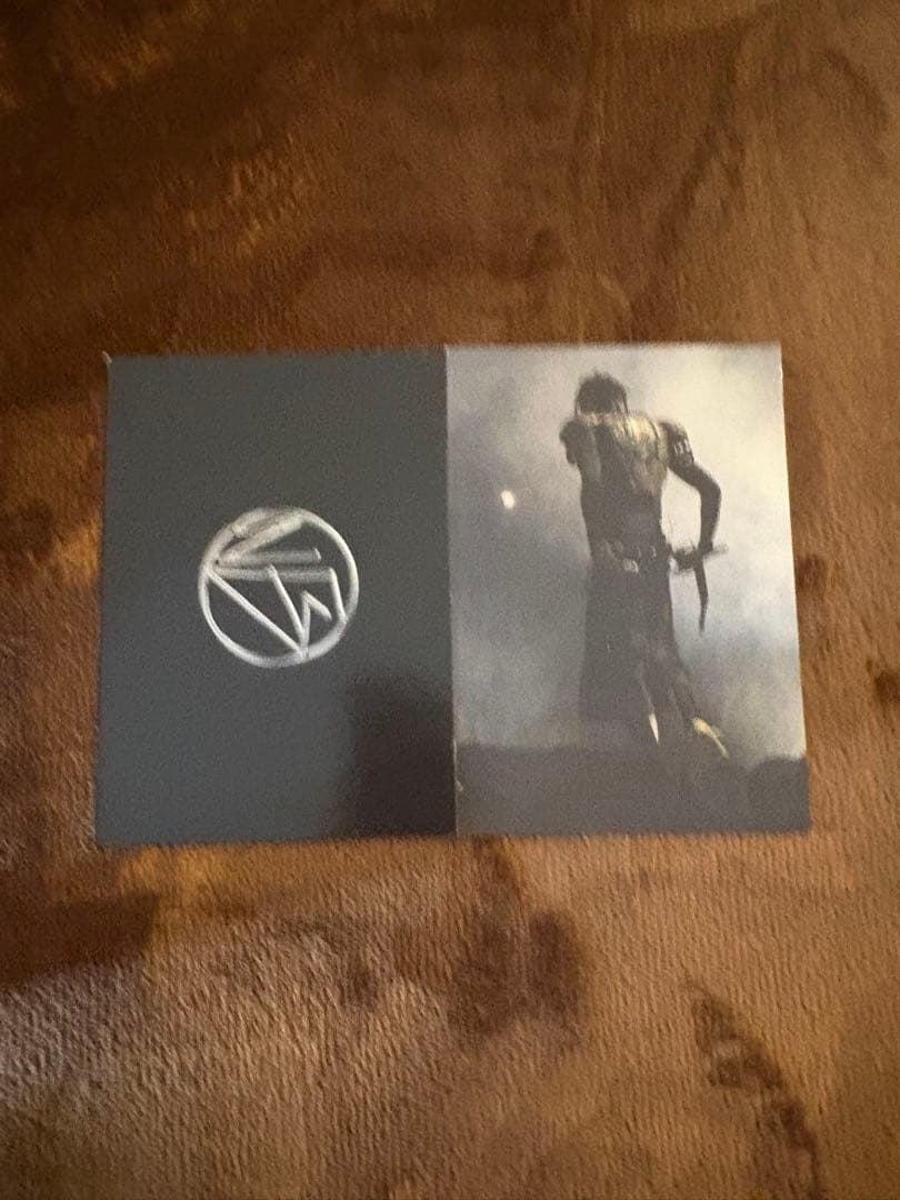 ライフガード愛好家専用HEAVY FLIGHT SHEARLING JACKET