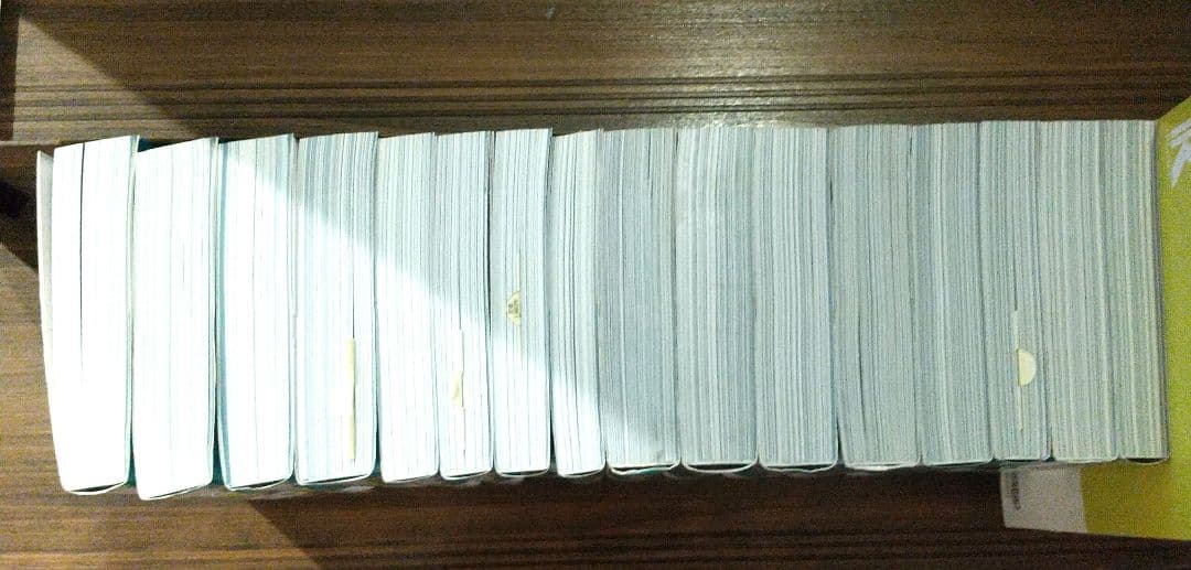 2024-2025 公務員試験 過去問解きまくり16冊マスター18冊 おまけ付き