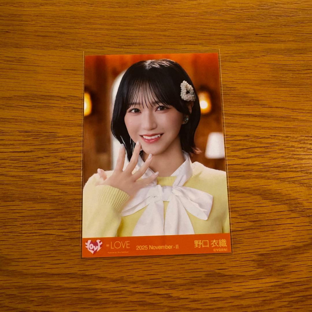 野口衣織 木漏れ日メゾフォルテ ヨリ 生写真 - メルカリ