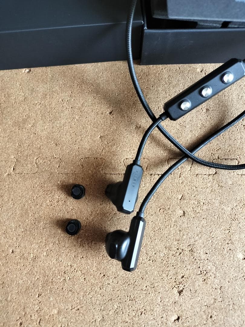 リオン ASMOLA 集音器