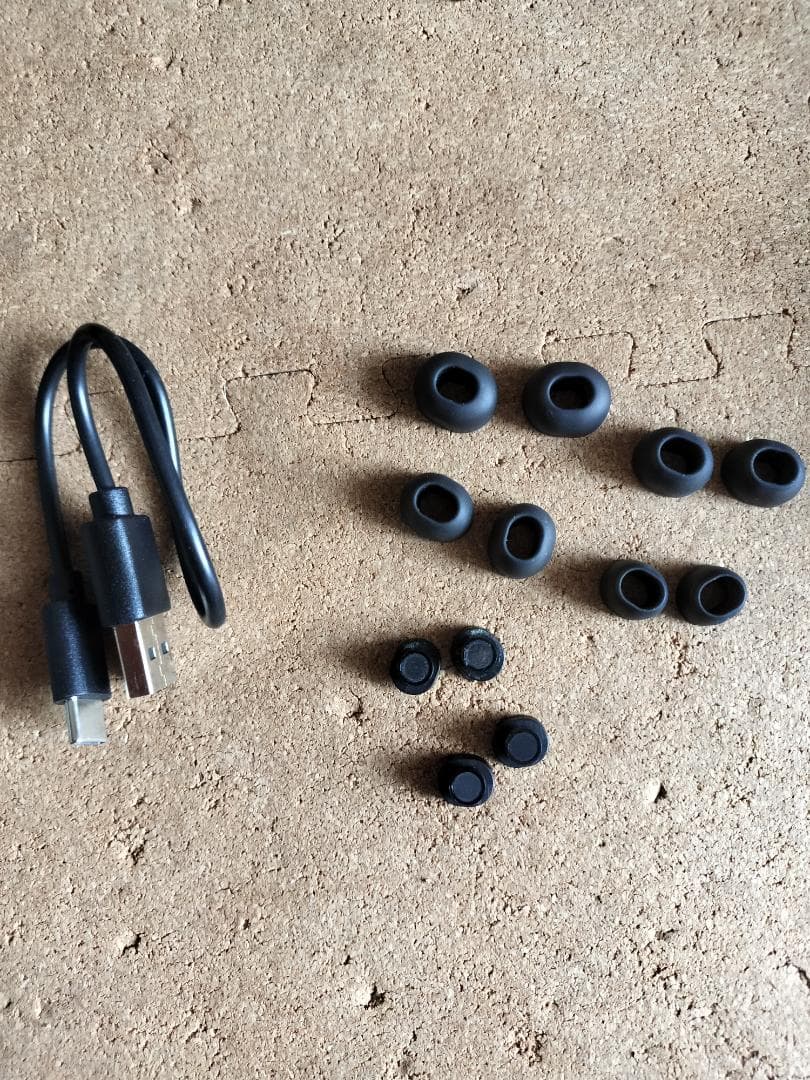 リオン ASMOLA 集音器