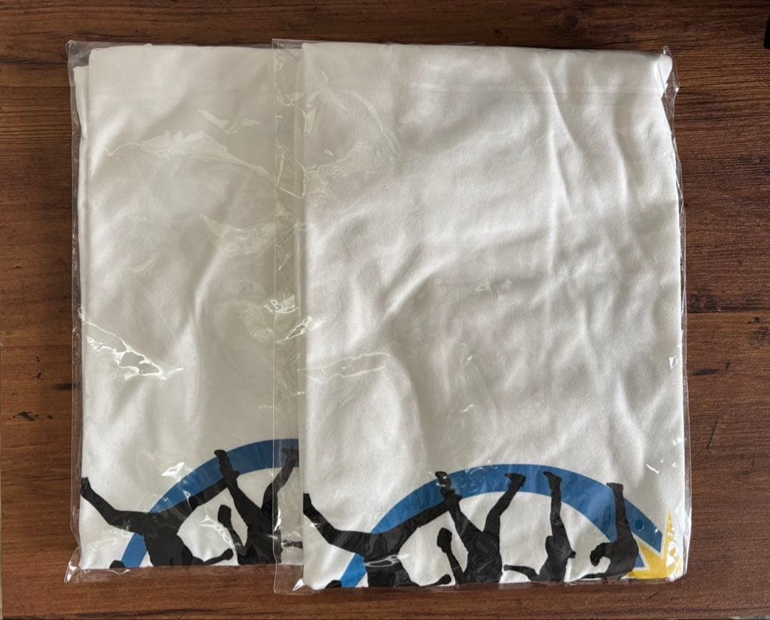 ファイターズ　限定　グッズ　しゃけまる　えふたん　法被　ヘルメット　シャツ