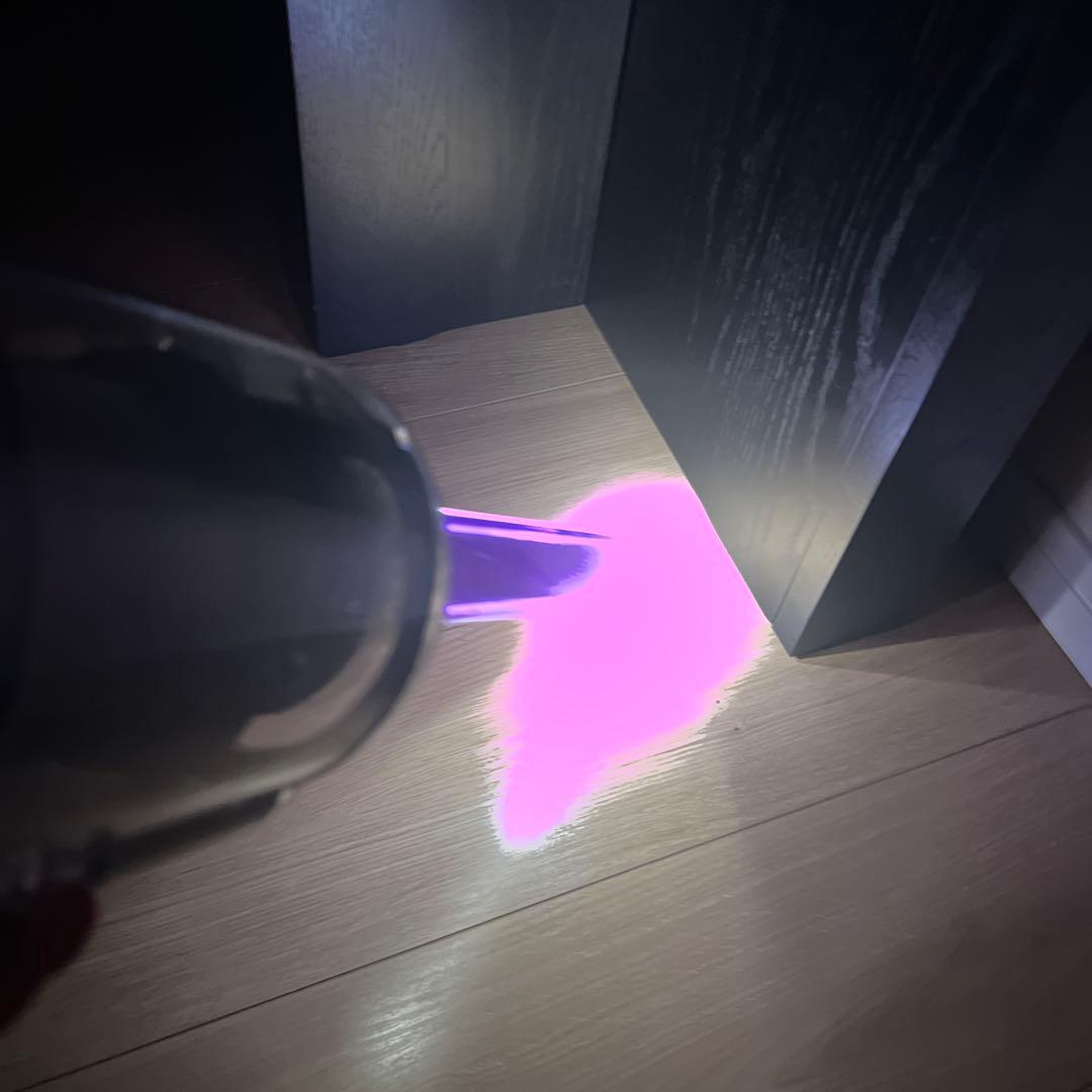 ダイソン SV18 レーザーヘッド +純正スタンド