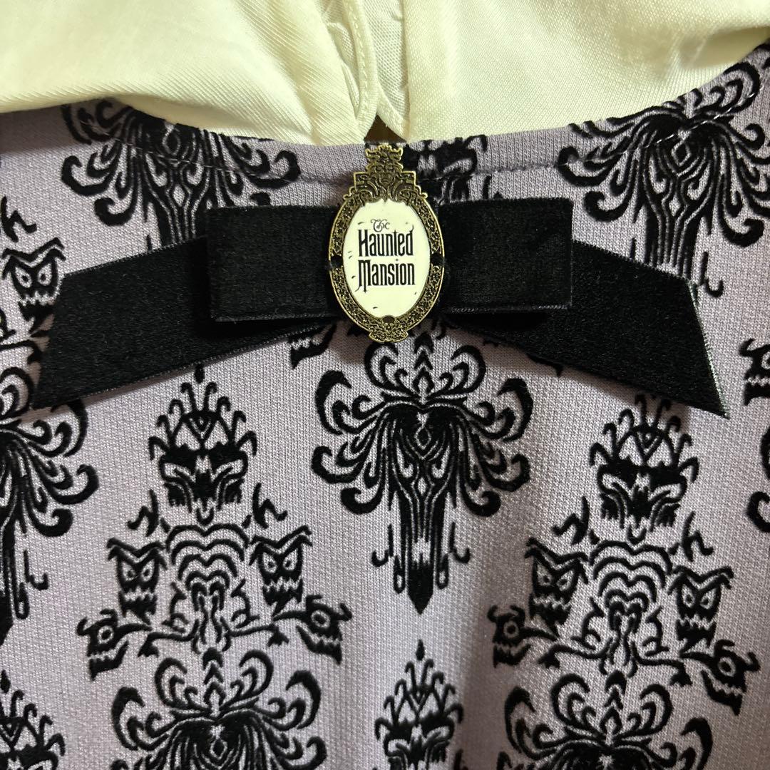 ホーンテッドマンション ワンピース