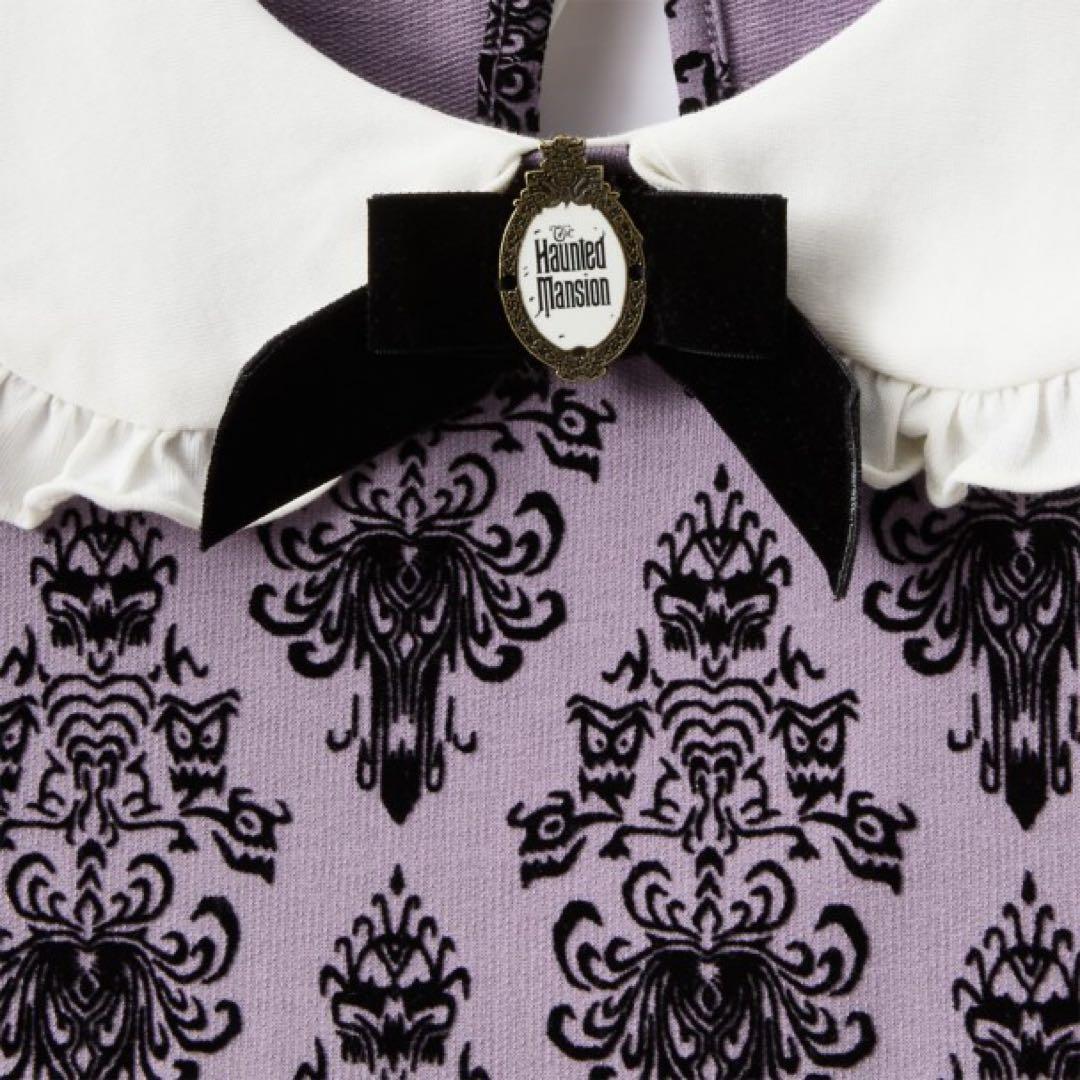 ホーンテッドマンション ワンピース