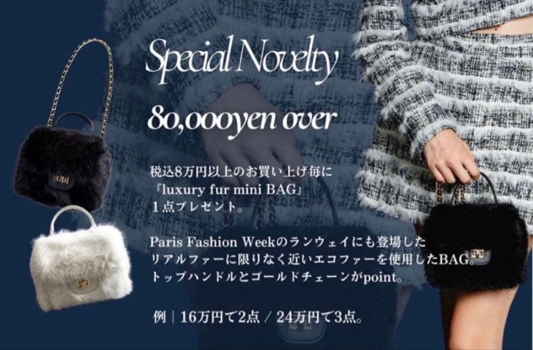 shellerシェリエ 5周年ノベルティ ファーバッグ