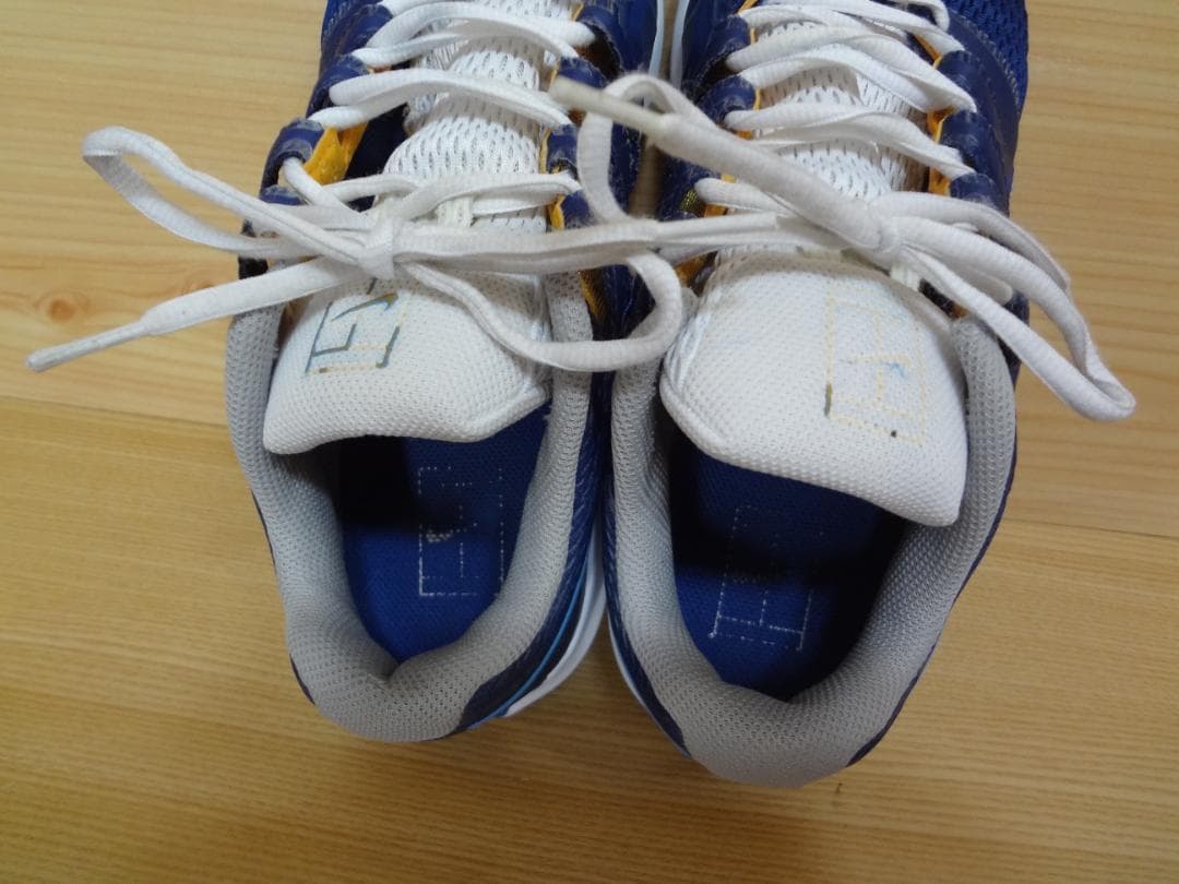 ナイキテニス / ズームヴェイパー? /カーペット用 / 27センチ