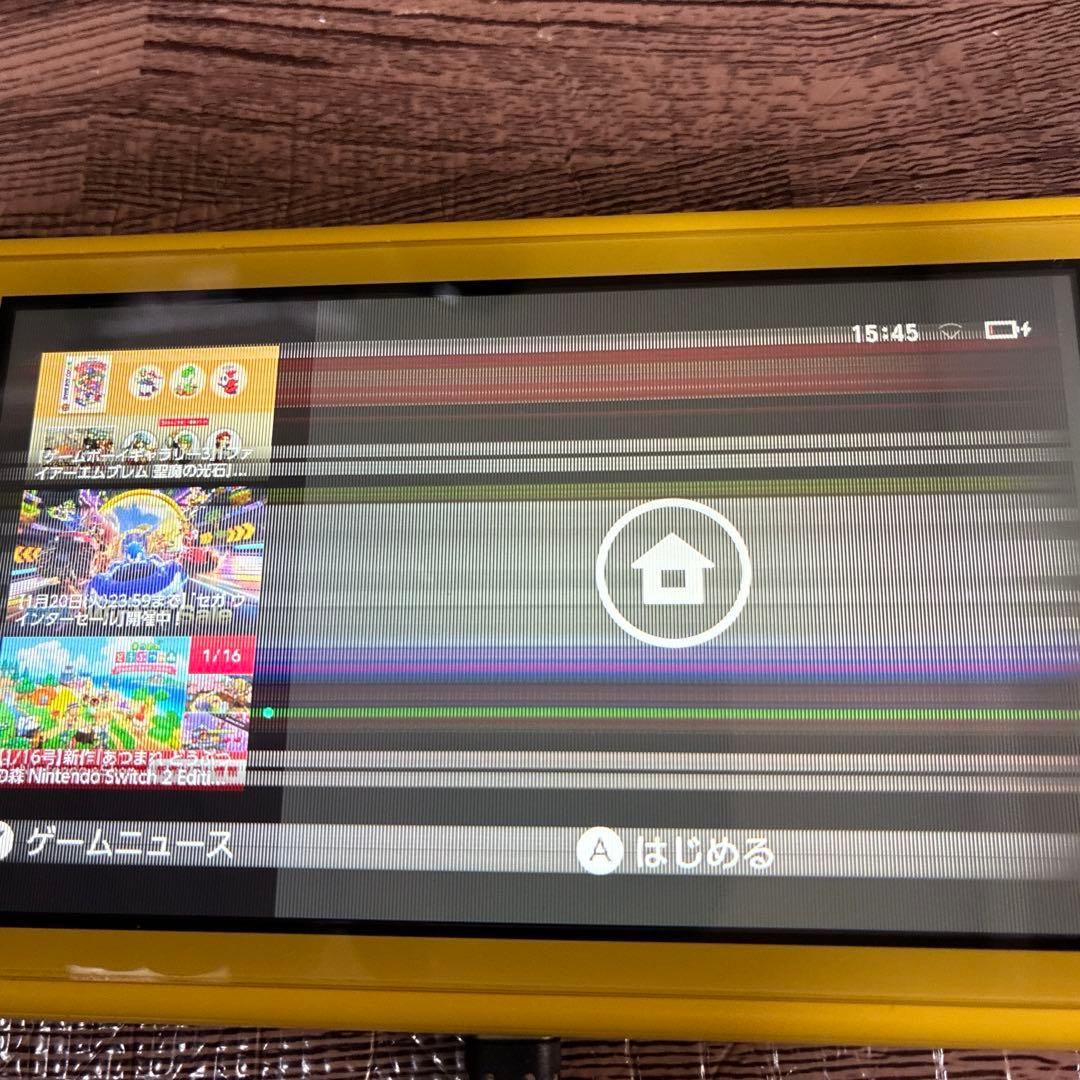 Nintendo Switch lite 液晶不良　ジャンク