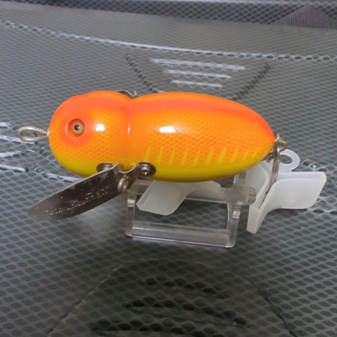 道楽 アブラゼミ