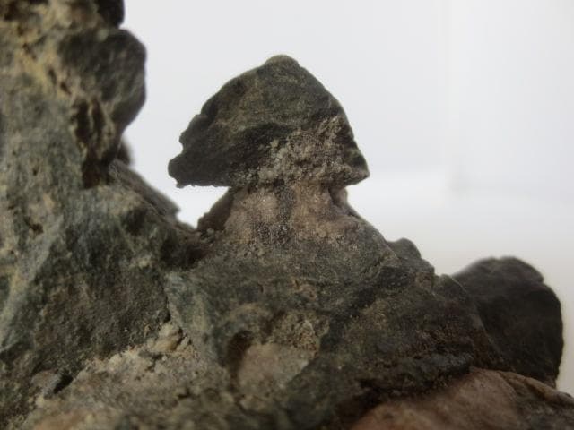 R7/09/5-12　八瀬　桃源石　巌上茅舎　龍石台座　幅18㎝