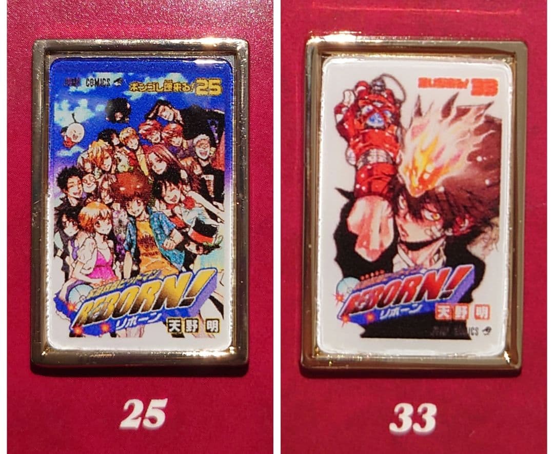 25・33】家庭教師ヒットマンREBORN! 天野明展 全巻ピンズセット 綱吉