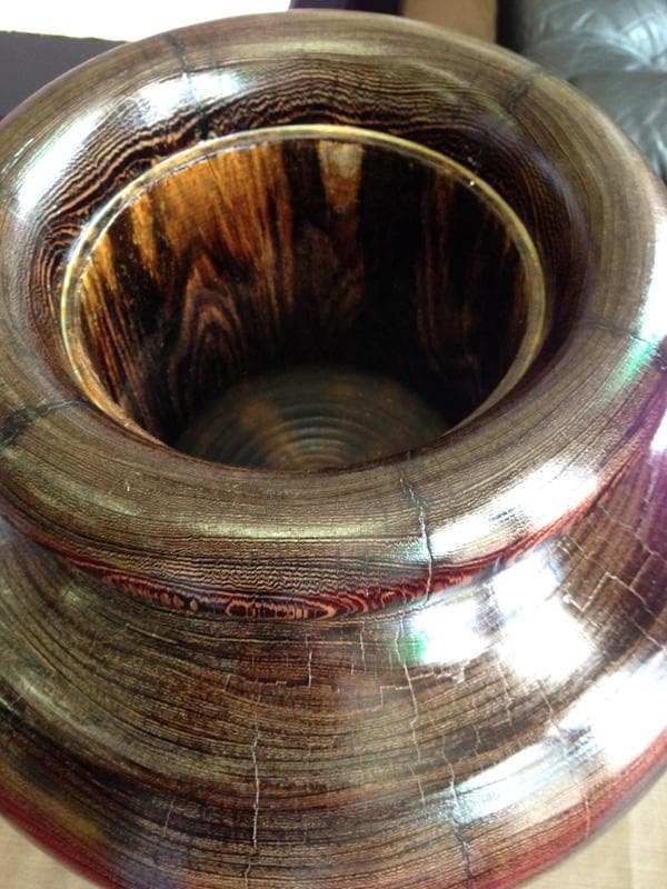 ★ラッキー特価！★ タガヤサン（鉄刀木）45cm 　特大壷