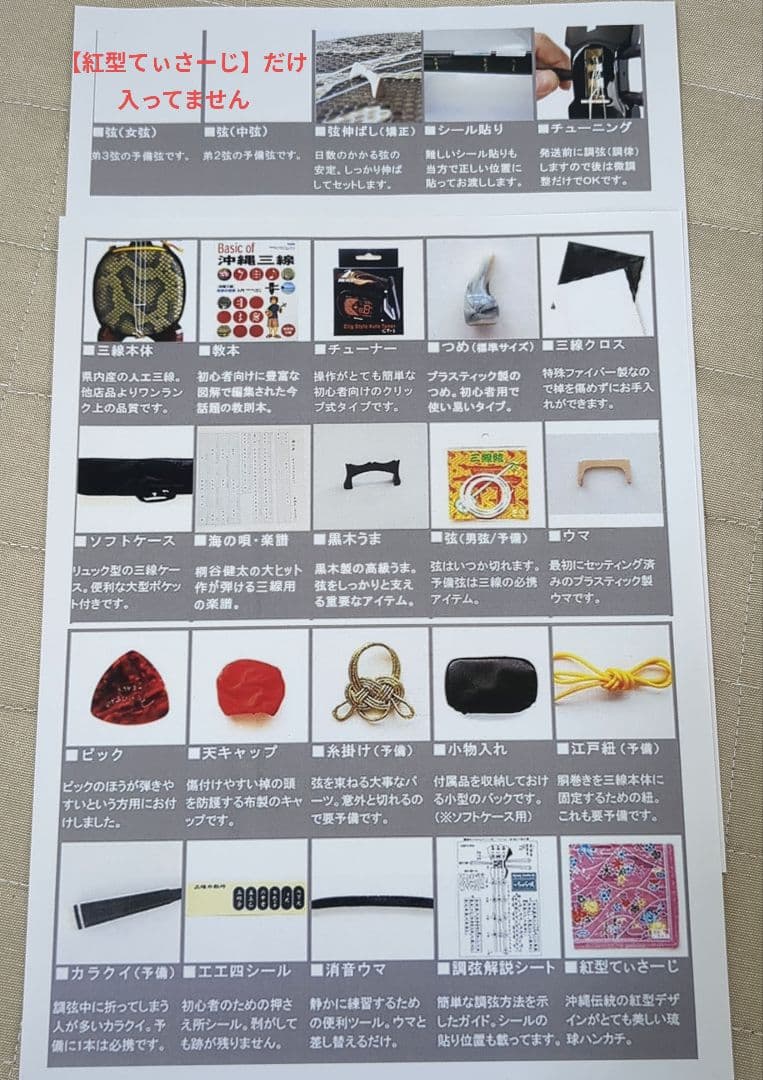 【送料無料】沖縄三線 ヘビ柄 3弦 ケース、付属品、テキスト2冊付き