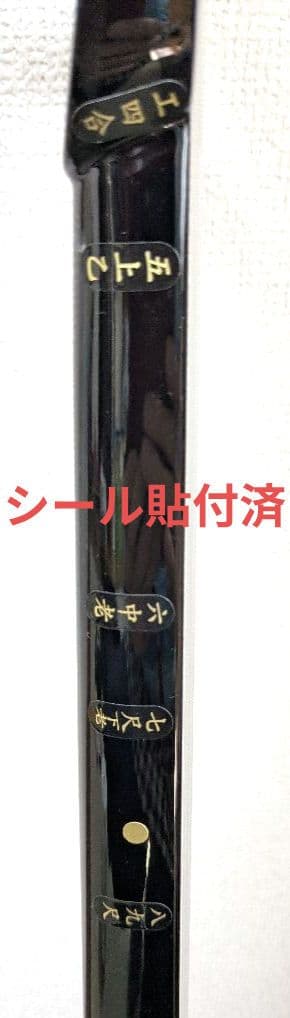 【送料無料】沖縄三線 ヘビ柄 3弦 ケース、付属品、テキスト2冊付き