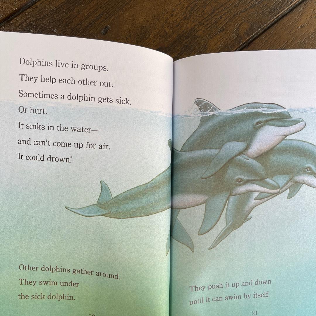 Step into Reading 128冊セット Step1-5