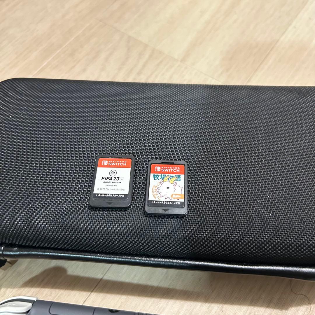 Nintendo Switch Lite グレー 本体 + 付属品