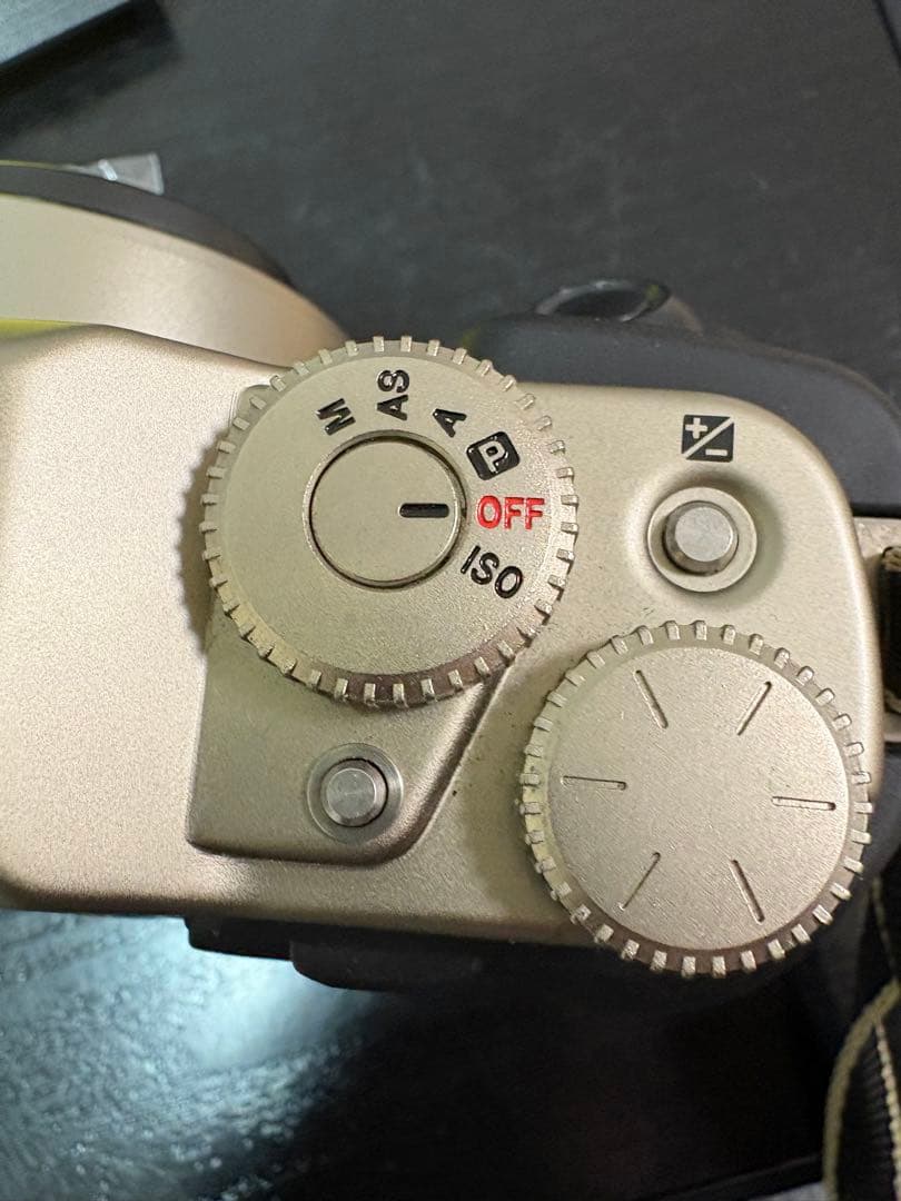 Fujifilm GA645Zi Professional 超美品！ストロボ付！