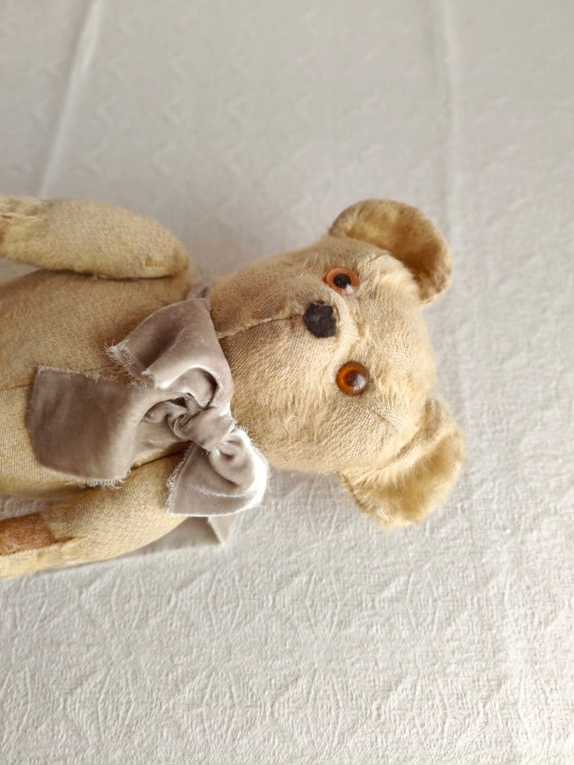 * antique bear ୨୧ .·*° オレンジの瞳が可愛い クマさん