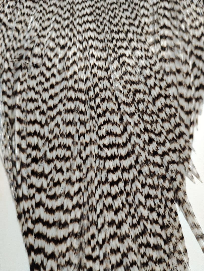 ホワイティングハックル