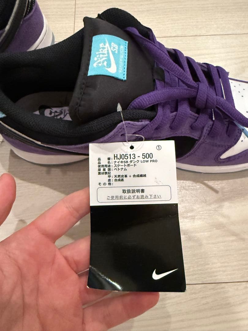 Hayley Wilson × Nike SB Dunk Low Pro