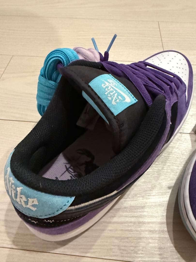 Hayley Wilson × Nike SB Dunk Low Pro