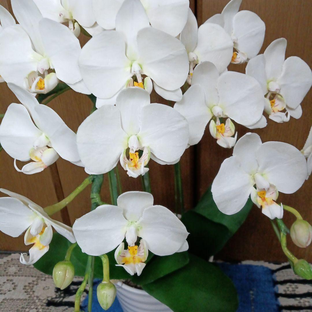 専用　ホワイト胡蝶蘭　クレイフラワー　樹脂粘土