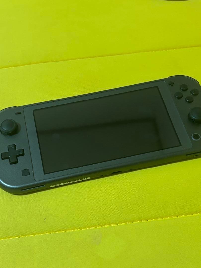 Nintendo Switch Lite ダイパ デザイン