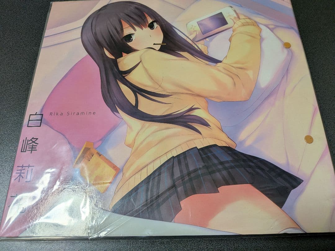 1/16終売】珈琲貴族先生 色紙バインダー＋色紙11枚セット