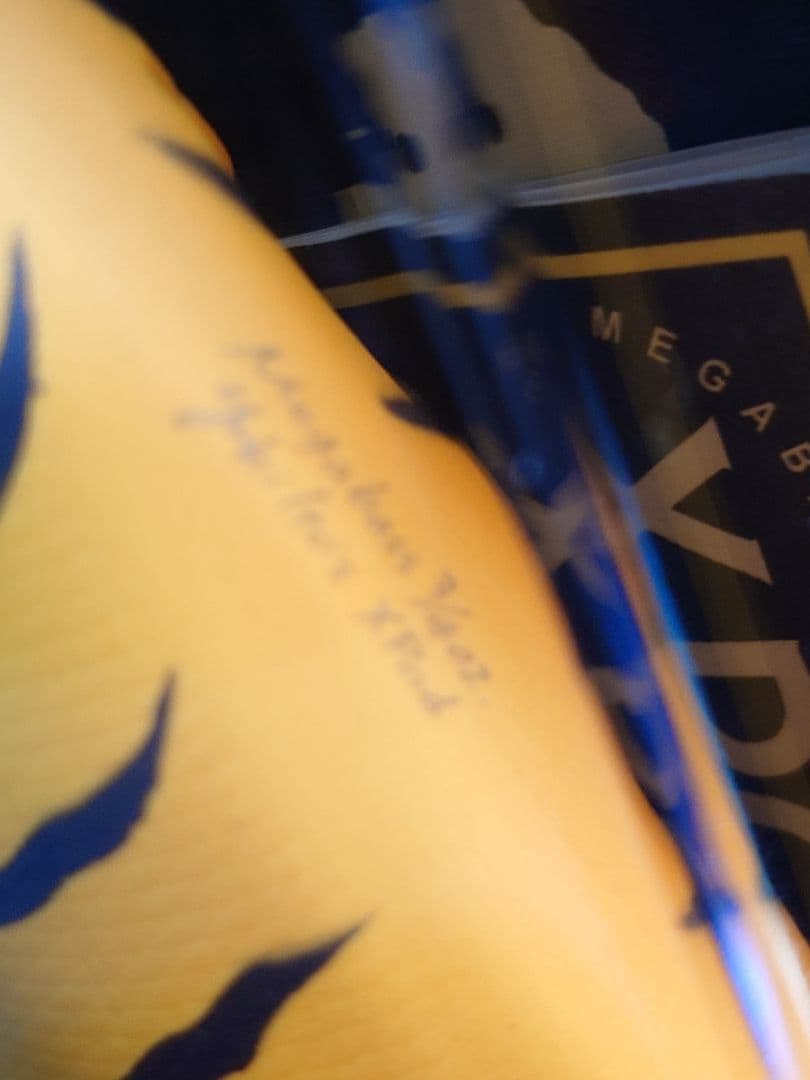 メガバス エックスポッド SP-C 干支 '10寅 チャートタイガー 新品未