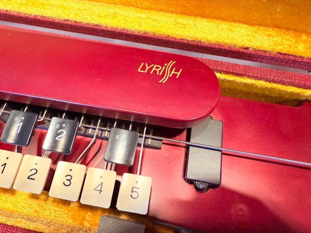 LYRISH 大正琴　ベース　lsb95　ライリッシュ　低音大正琴　エレキ大正琴