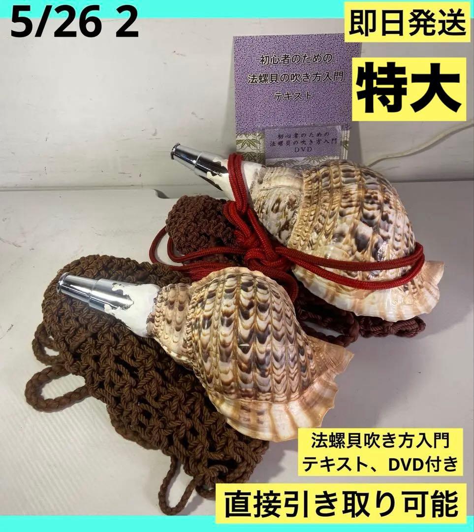 修験道法螺貝 赤紐付き ほら貝 ホラガイ 袋付き修験道法螺貝 山伏 密教