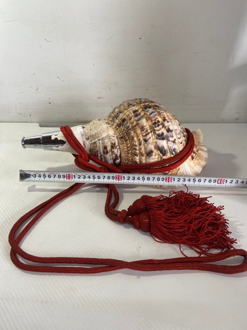 修験道法螺貝 赤紐付き ほら貝 ホラガイ 袋付き修験道法螺貝 山伏 密教