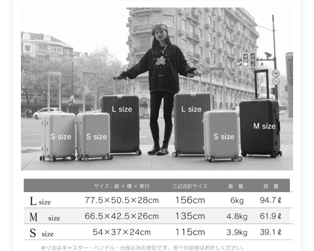 シルバー キャリーケース 94L NOBLE