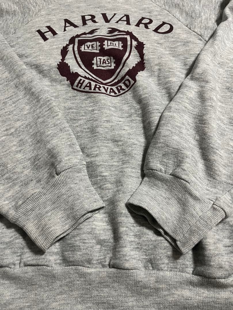 80s USA トリコタグ 2段 ハーバードカレッジ 染み込み 目無しスウェット
