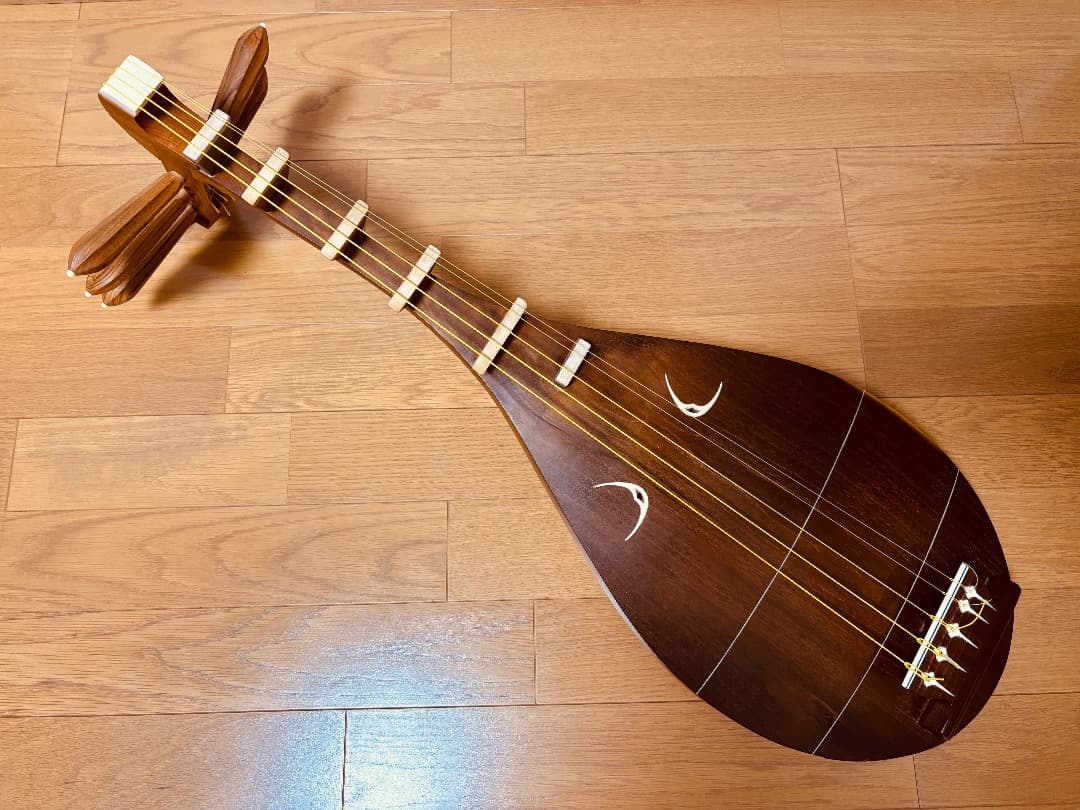 薩摩琵琶 石田不識 五弦 琵琶 撥(柘植)・柱カバー・ソフトケース付