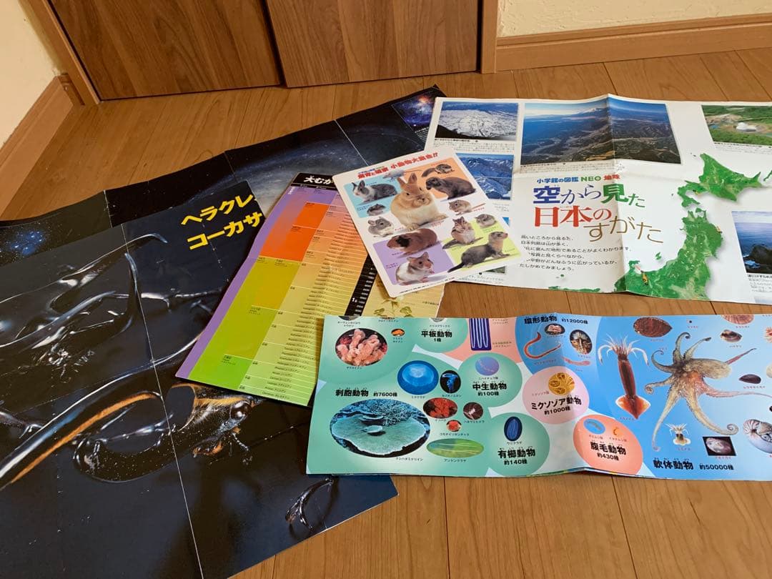 美品　小学館の図鑑neo 18冊セット