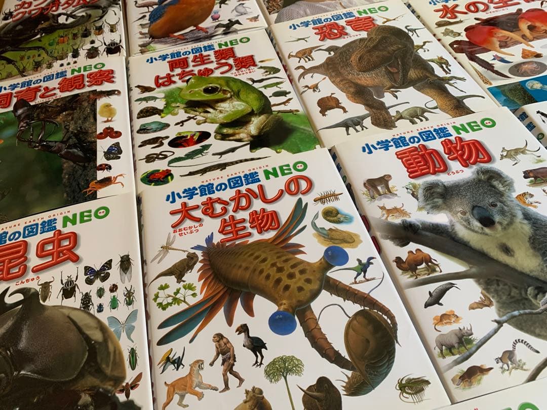 美品　小学館の図鑑neo 18冊セット