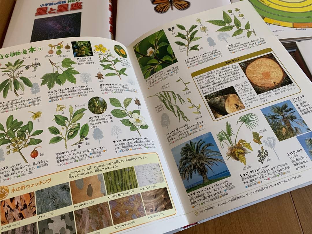 美品　小学館の図鑑neo 18冊セット