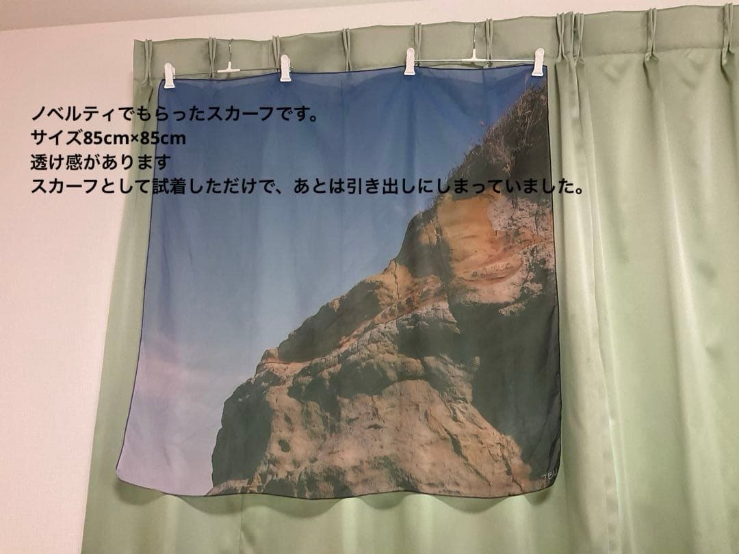 TEN ホルンバングル　ノベルティのスカーフ付き　ブレスレット