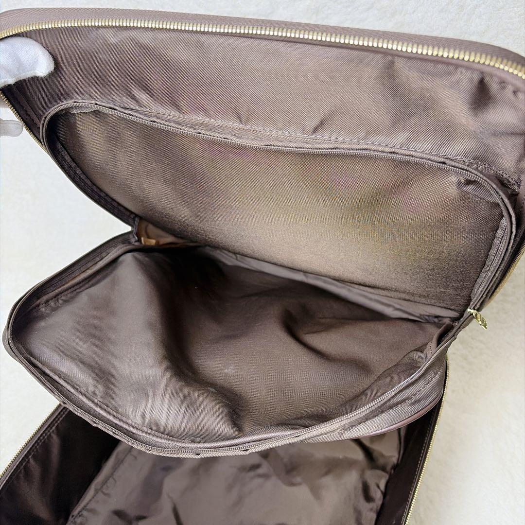 【美品】ルイヴィトン ペガス 45 モノグラム 機内持ち込み キャリーケース