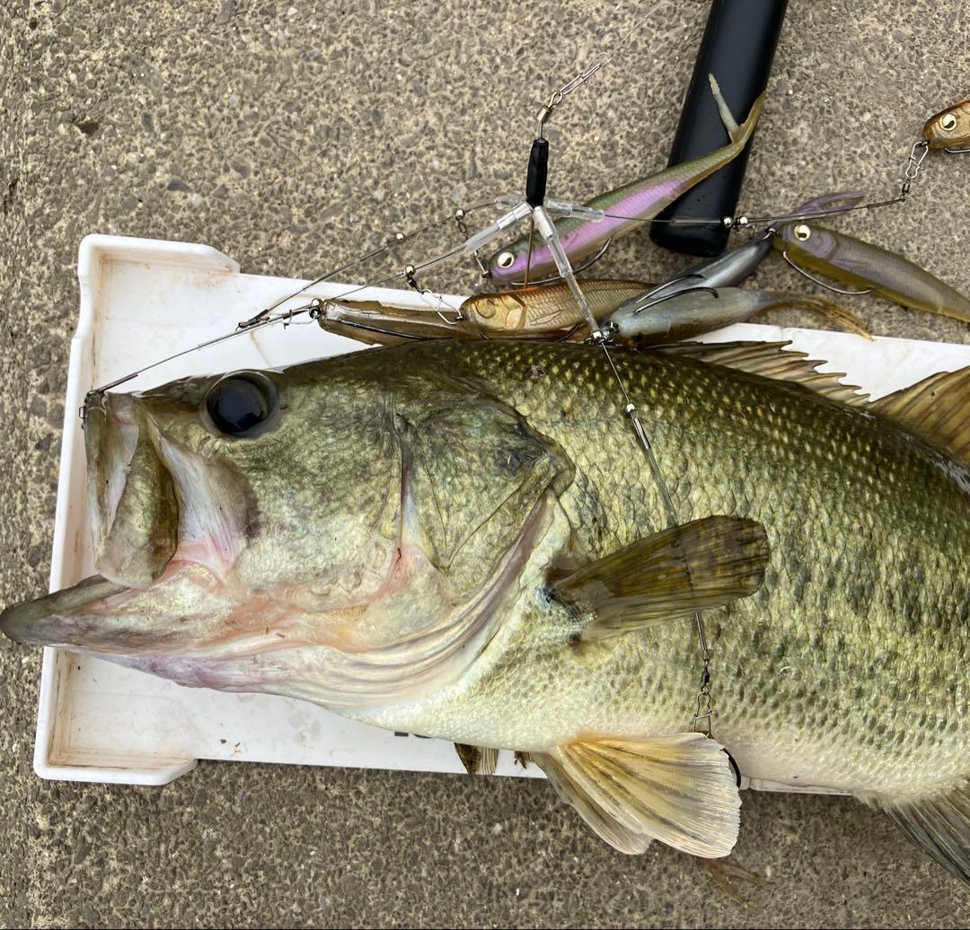 3☆FALK spalo FA 同等品☆形状記憶合金ワイヤー アラバマリグ