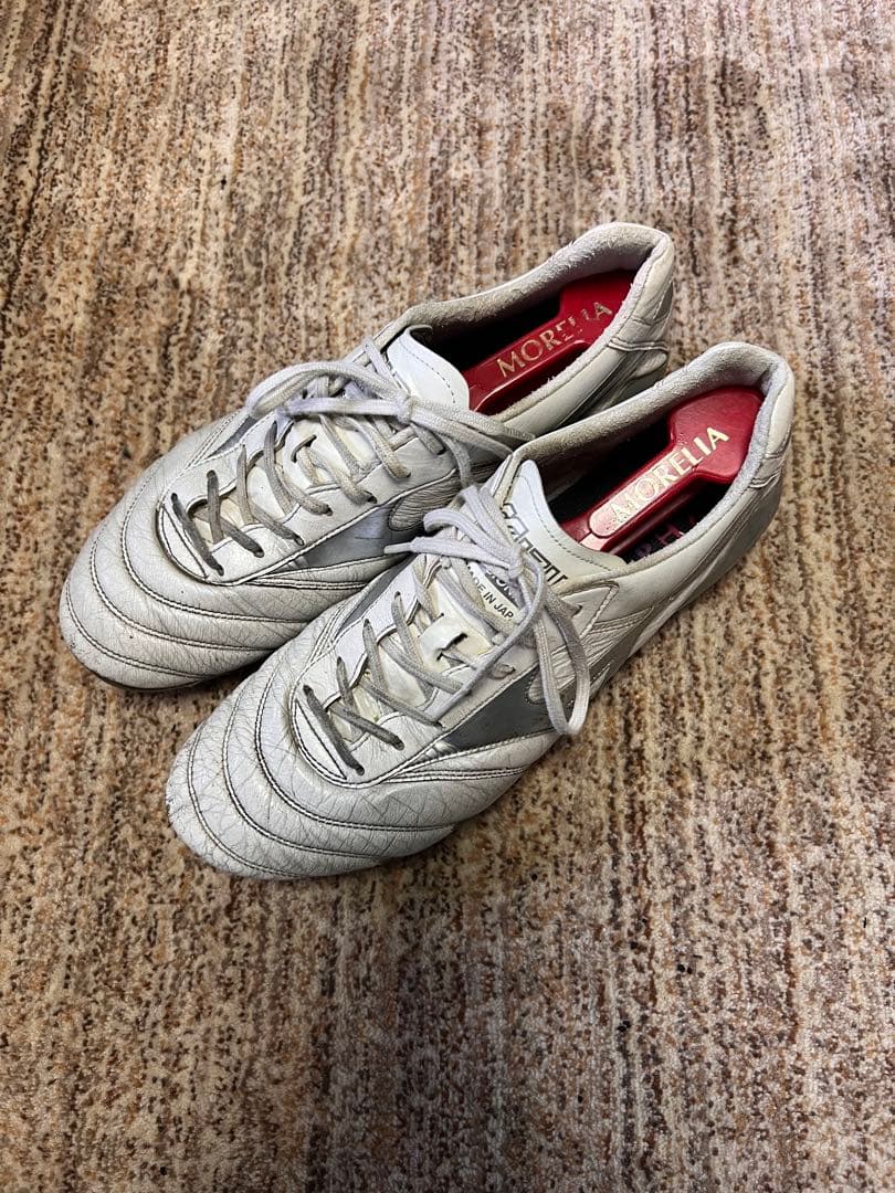 モレリア　DNA 27センチ