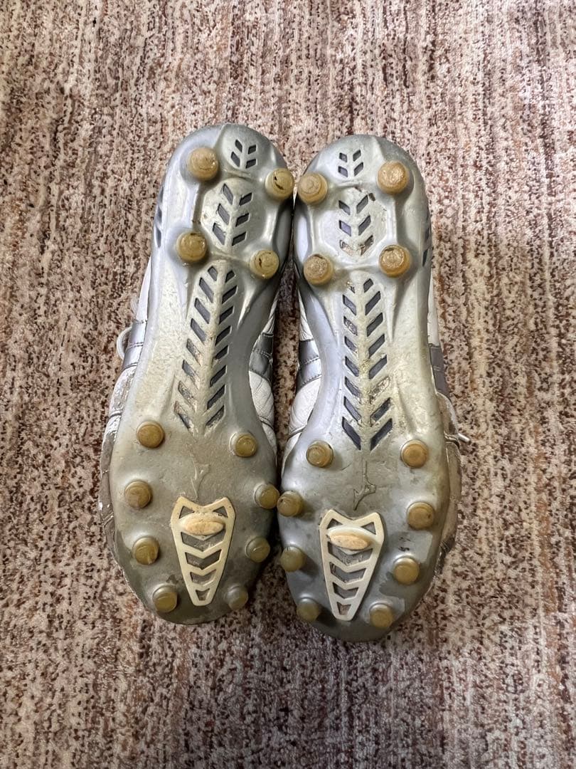 モレリア　DNA 27センチ