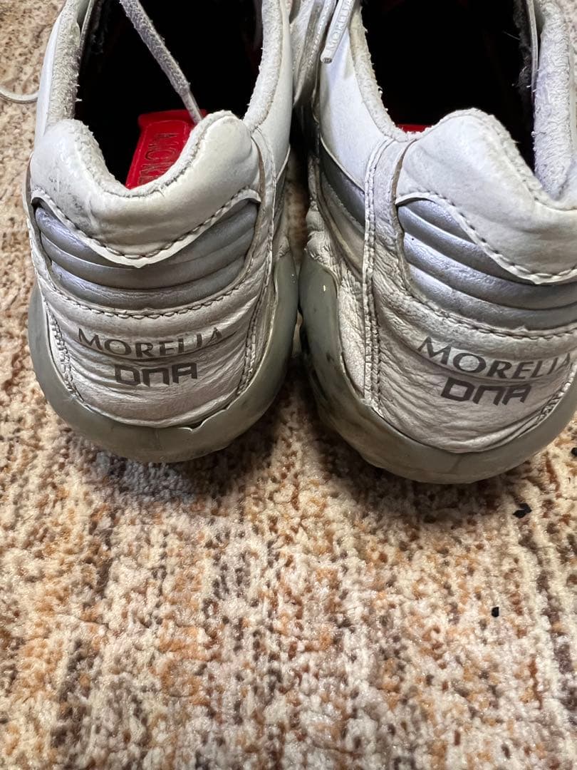 モレリア　DNA 27センチ